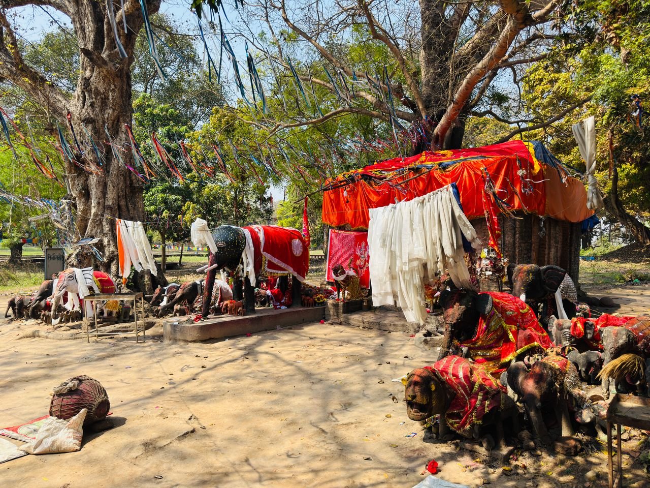 Vibrant outdoor shrine in Butwal, Nepal, showcasing colorful fabrics and religious offerings under trees.